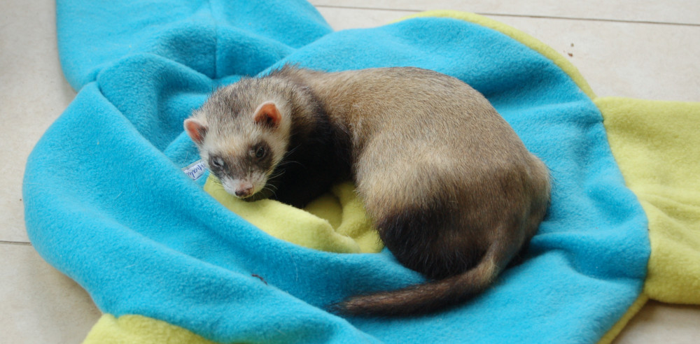 Fret Nancy 3 weken na haar implantaat